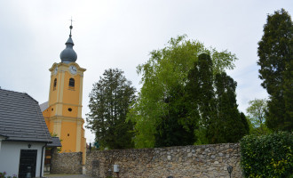 KuriaSP, dvor-min.JPG